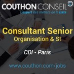 Consultant Senior Organisation & SI [Paris]